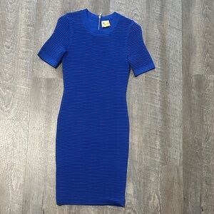 Torn by Ronny Kobo Vibrant Blue Mini Dress